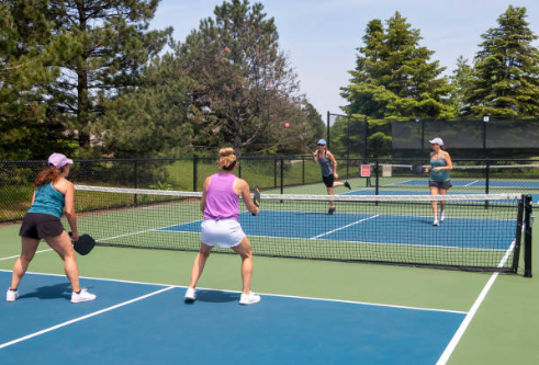 Fusion TC2 Power Pickleball Paddle